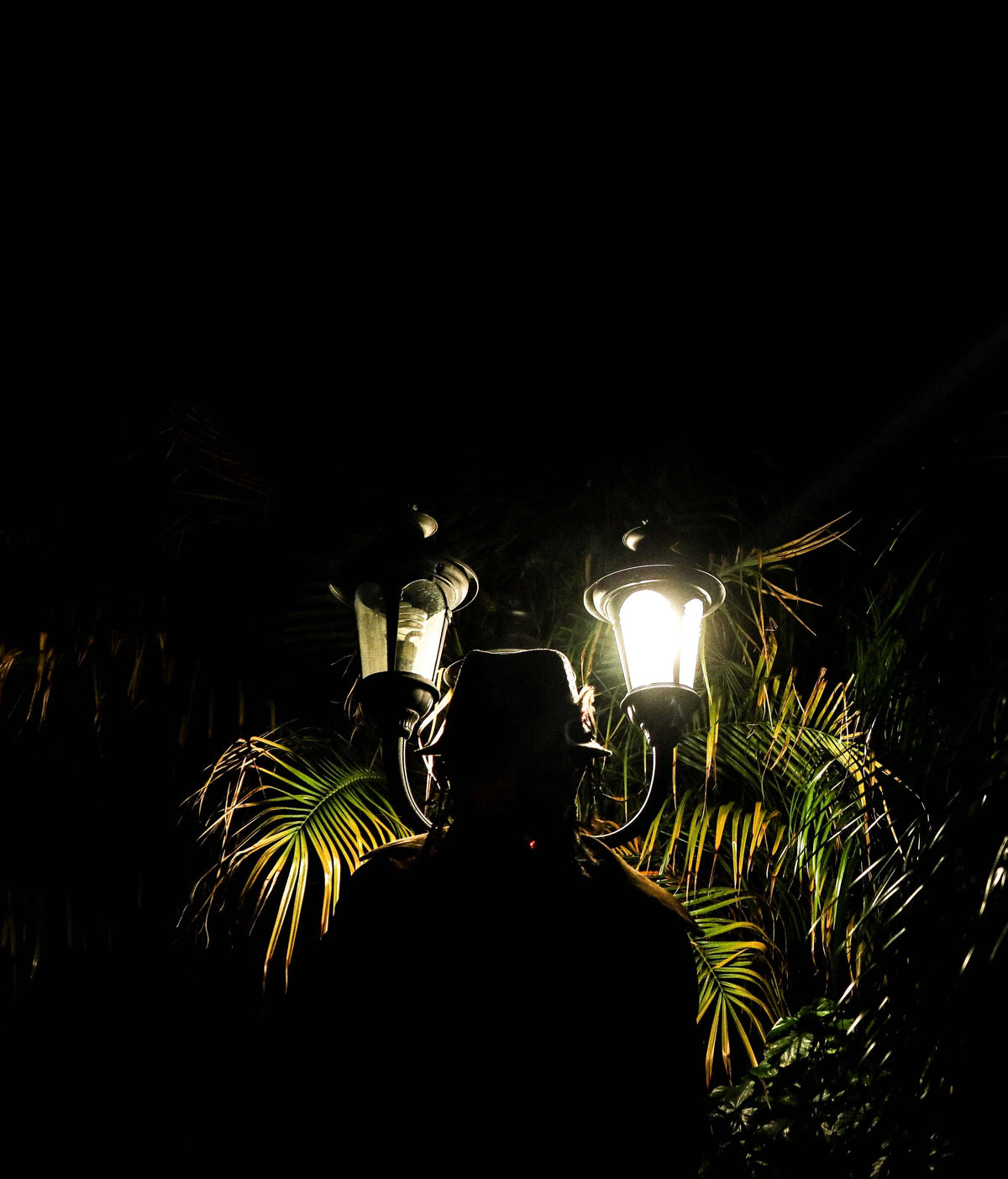 Hidden From The Light 2021